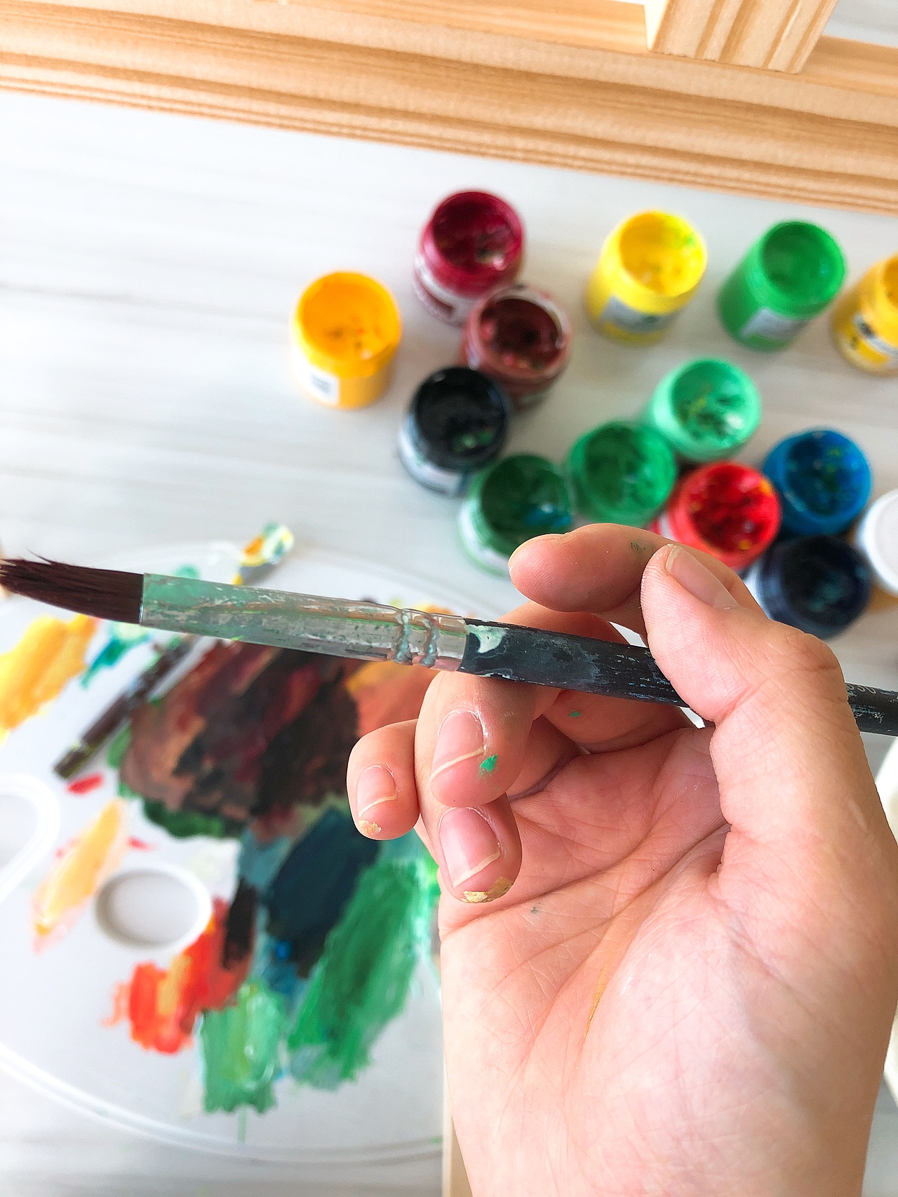 森林里的小屋和羊