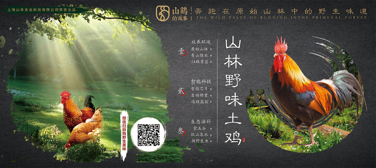 山鸡的故事宣传海报