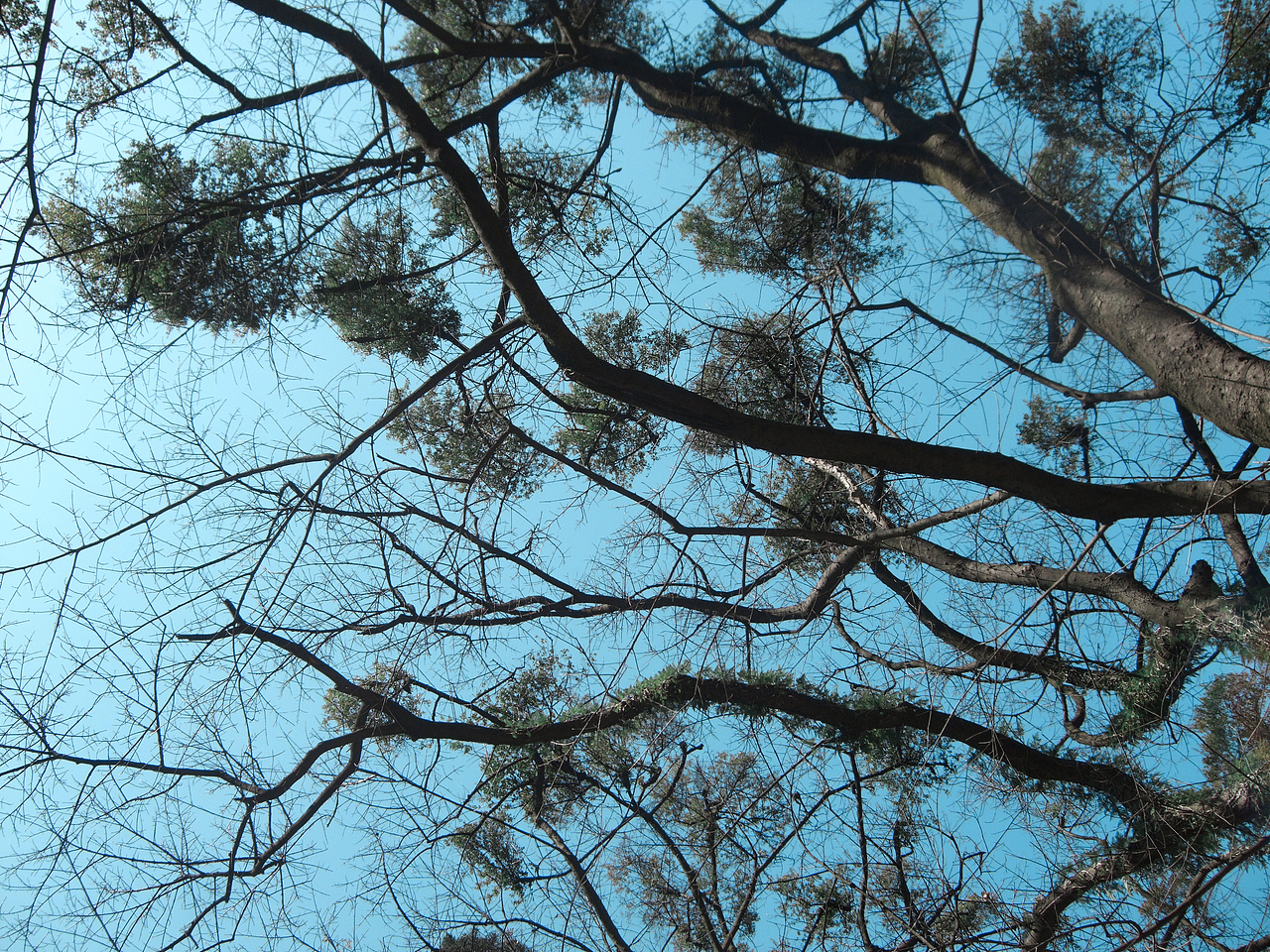 ccd镜头下的飞霞山（图ZMzYyMDkzMjE2） - 风光摄影 - 站酷设计师罗减一原创素材 - 站酷ZCOOL