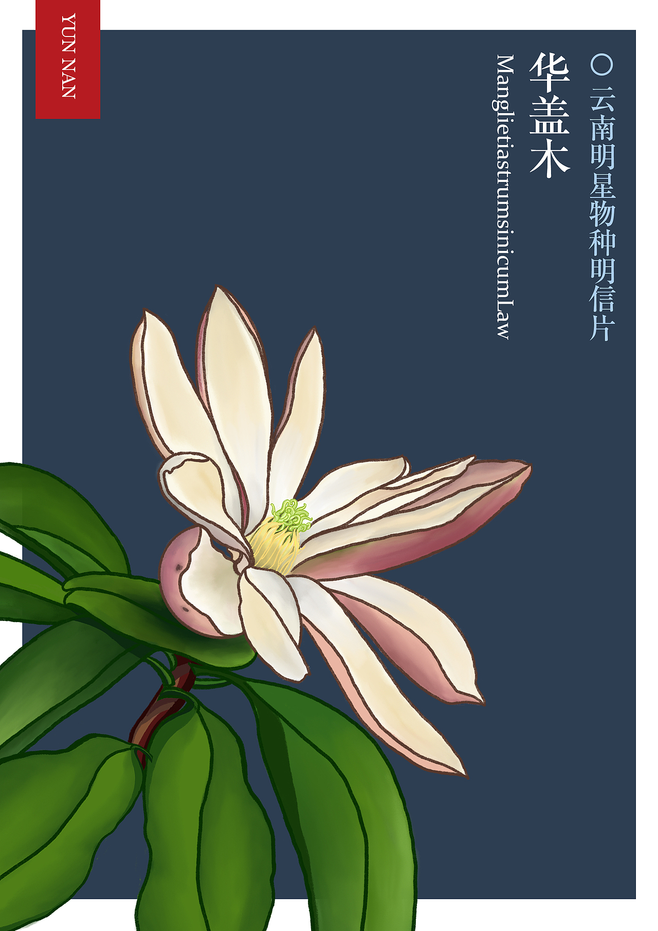 神奇动物在哪里（图ZMjczODA2ODQ4） - 商业插画 - 站酷设计师沙子什么的原创素材 - 站酷ZCOOL