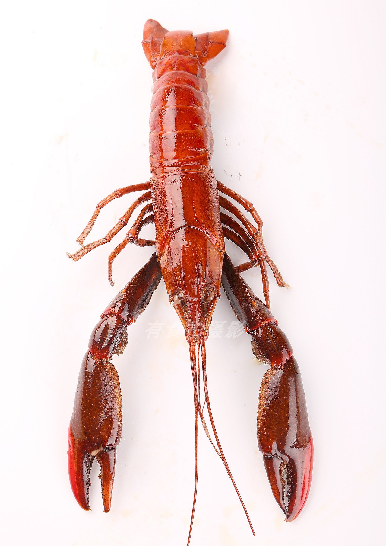 深圳电商生鲜食品美食摄影--龙虾拍摄