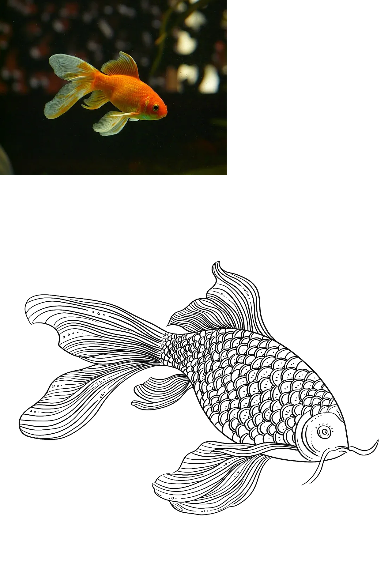 国潮插画练习【06】-鱼