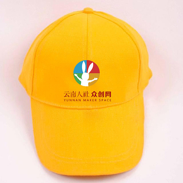 启动仪式及其南博会用广告帽。