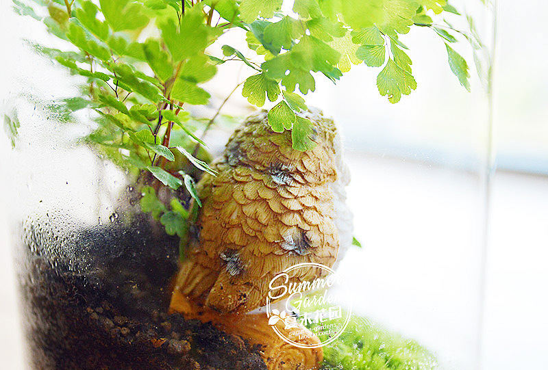 绿植手作之猫头鹰--《夏末花园成长日记5》（图ZMTY2ODE4ODA=） - 其他手工艺 - 站酷设计师zxsummer原创素材 - 站酷ZCOOL