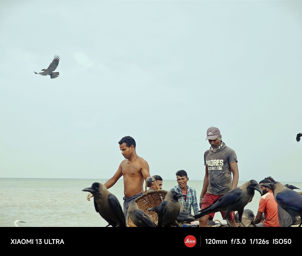 斯里兰卡纪实瞬间影像