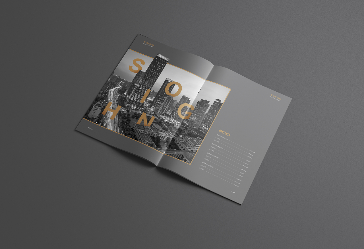 泗洪电视台画册设计