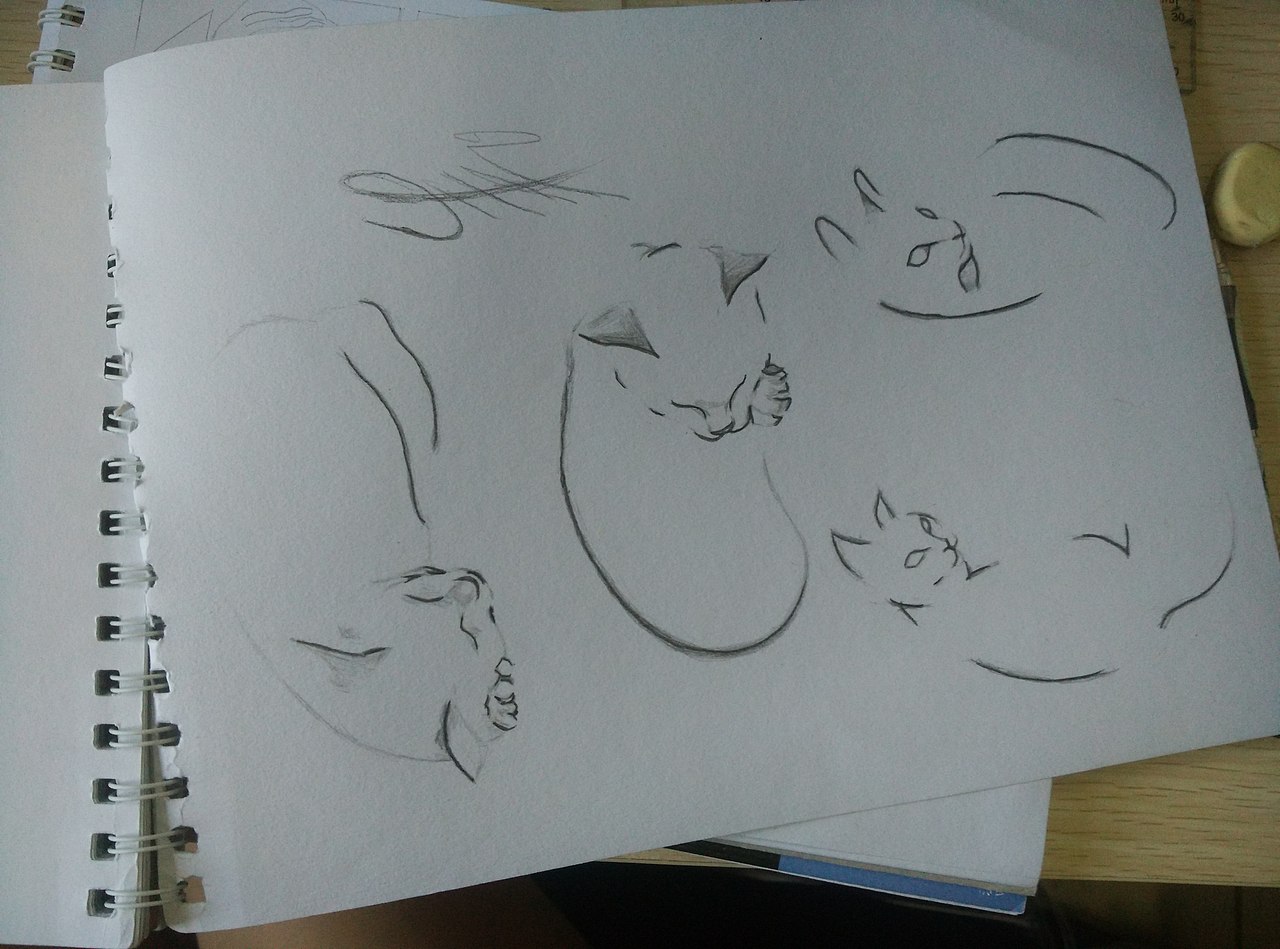 小创（图ZNTkzNzUwNDQ=） - 创作习作 - 站酷设计师知予原创素材 - 站酷ZCOOL