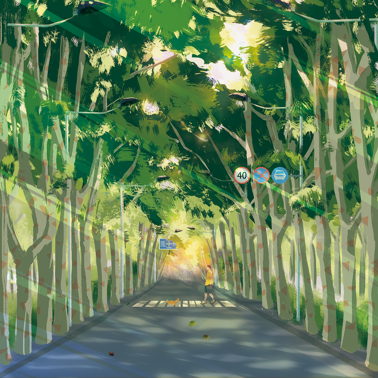 中州路 中州路是洛阳的一条主干道,很长很长,路两边是高高的梧桐树,四