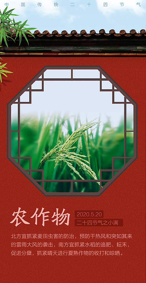 24节气之小满