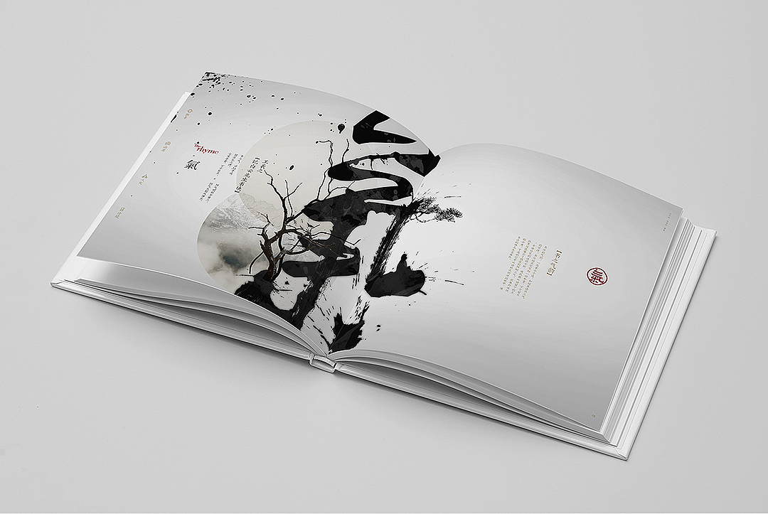 两本好厚的画册截选。（图ZMjQ3MjgyODgw） - 书籍/画册 - 站酷设计师王铮sensoo原创素材 - 站酷ZCOOL