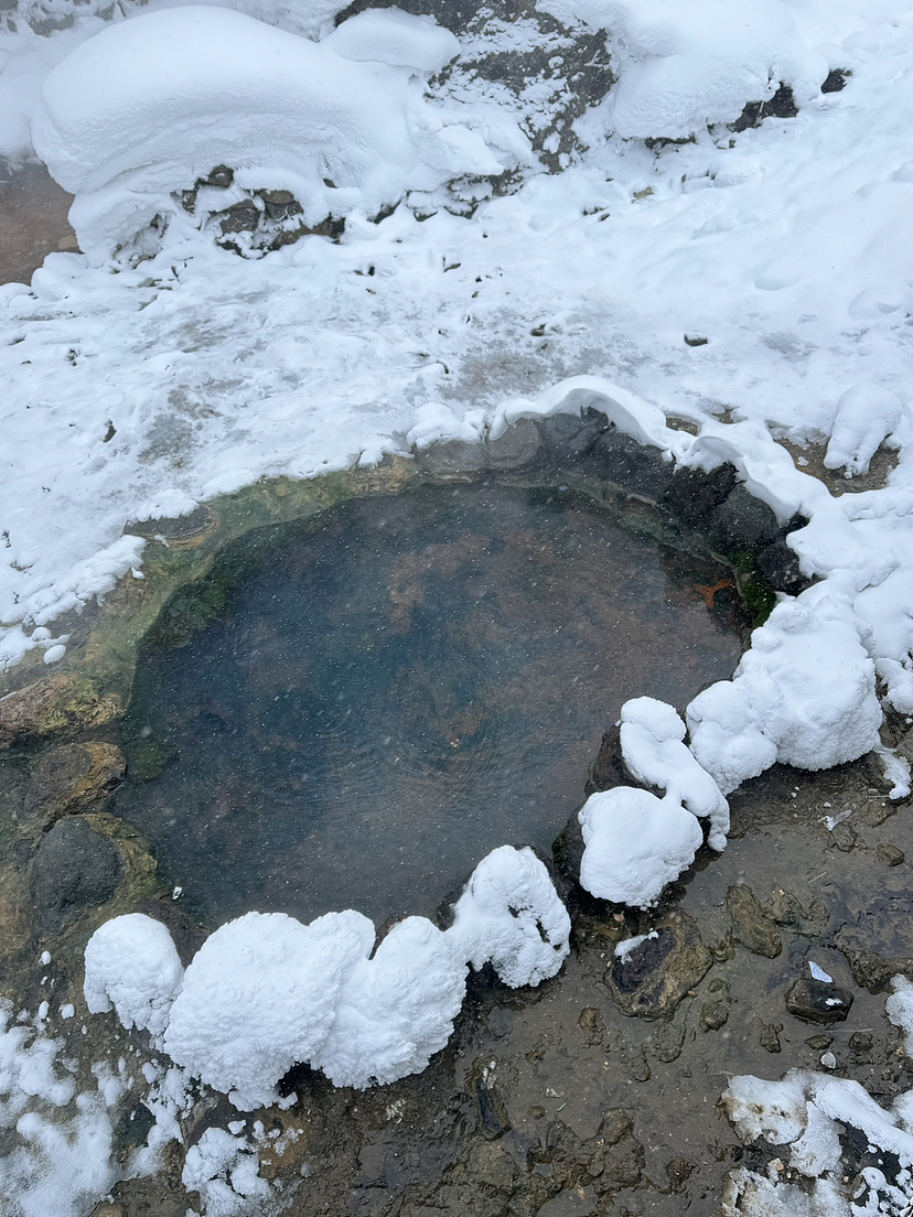 绿色真的好鲜艳长白山旅游拍照人像摄影