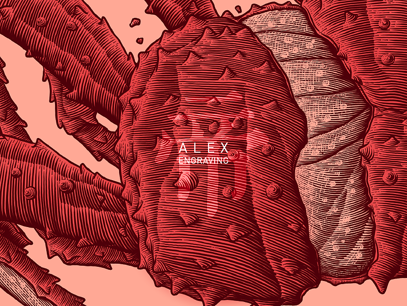 蟹之拆（图ZMTEyNjUzMTA0） - 商业插画 - 站酷设计师花椒的Alex原创素材 - 站酷ZCOOL