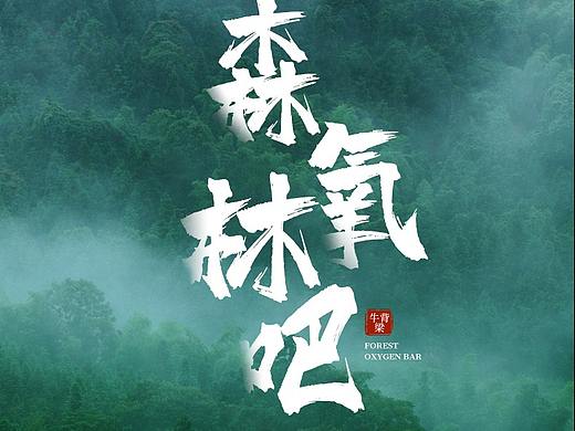 【西安详情页】牛背梁一日游