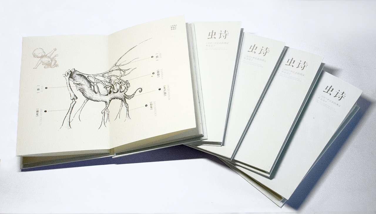 《诗经》中的昆虫（图ZMTcxMDk3NjQw） - 手办/模玩 - 站酷设计师鱿小哉原创素材 - 站酷ZCOOL