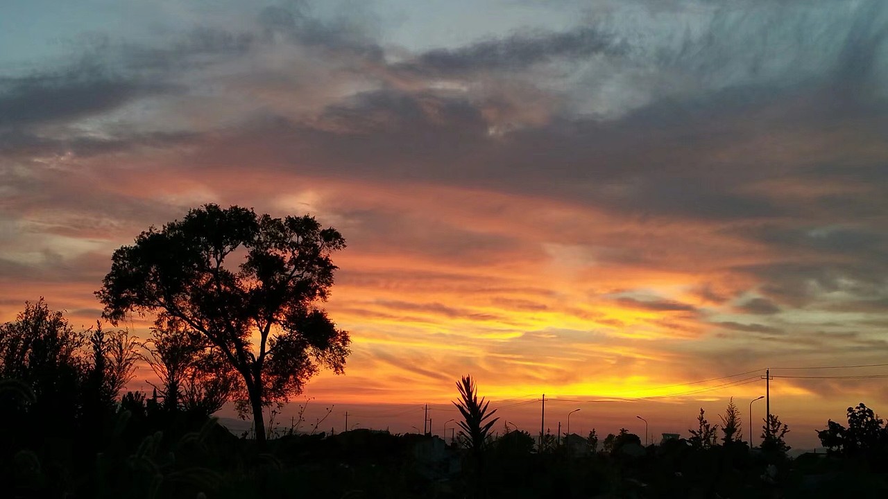 努力发现生活中的美