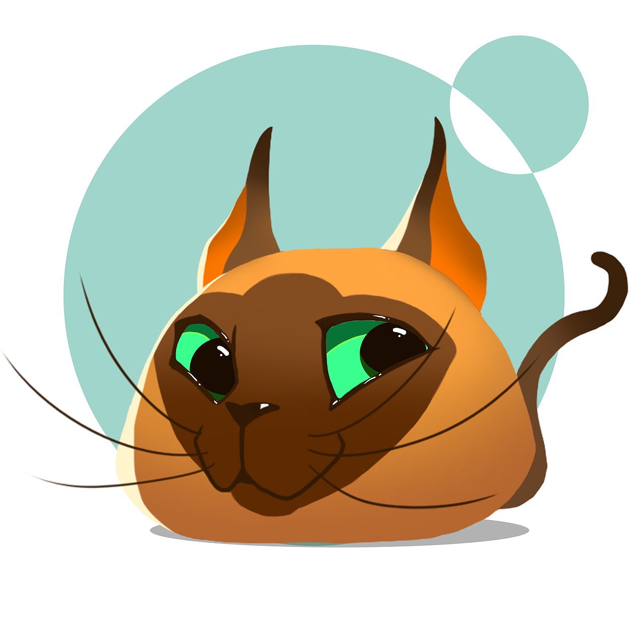 猫咪系列暹罗猫