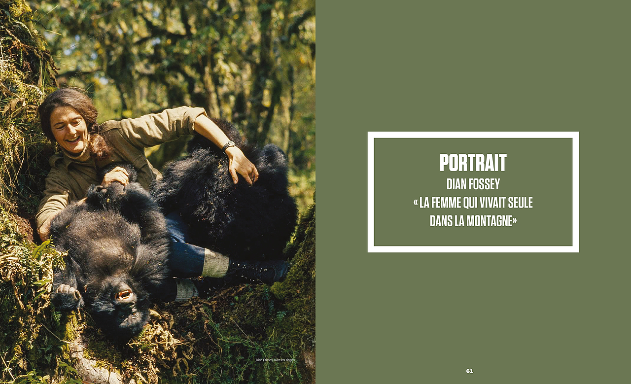 杂志 排版 书籍 旅游（图ZMTAwNTIwMzU2） - 书籍/画册 - 站酷设计师泽人工作室原创素材 - 站酷ZCOOL