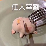 卤大猪蹄子儿的头像