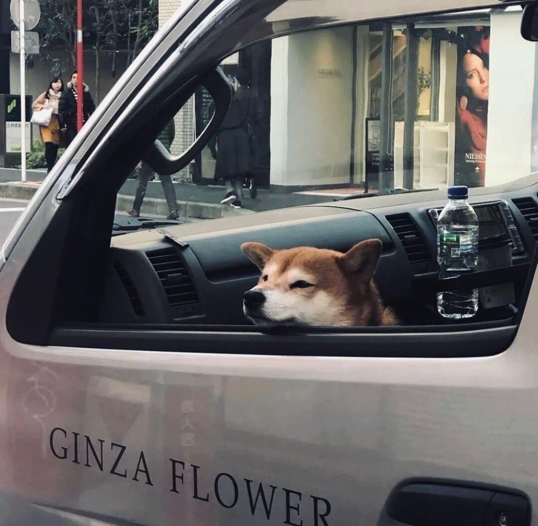 Z89500167的個人主頁（背景預覽） - 主頁背景設(shè)置 - 站酷設(shè)計師Z89500167原創(chuàng)素材 - 站酷ZCOOL