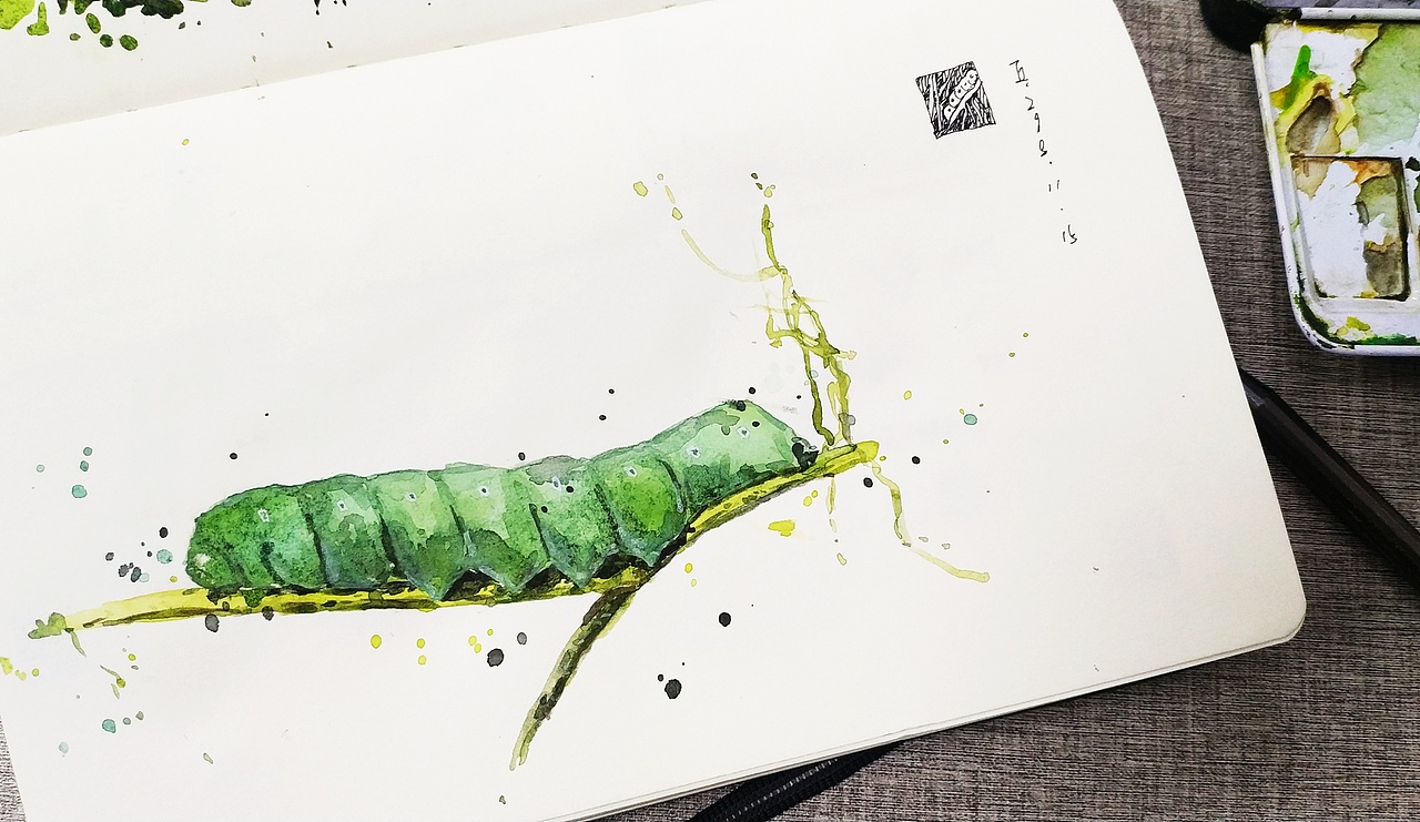 近期水彩作品 04