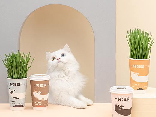 【摄影】猫连吃草都这么有仪式感