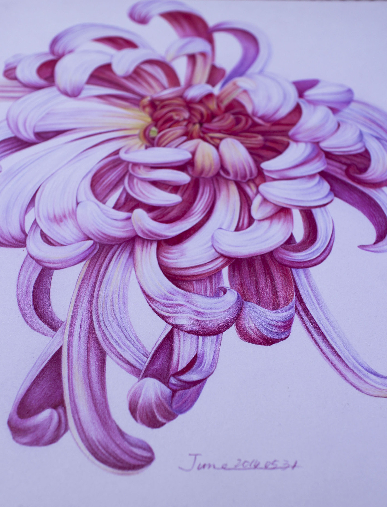 色彩菊花绘画步骤-普画网