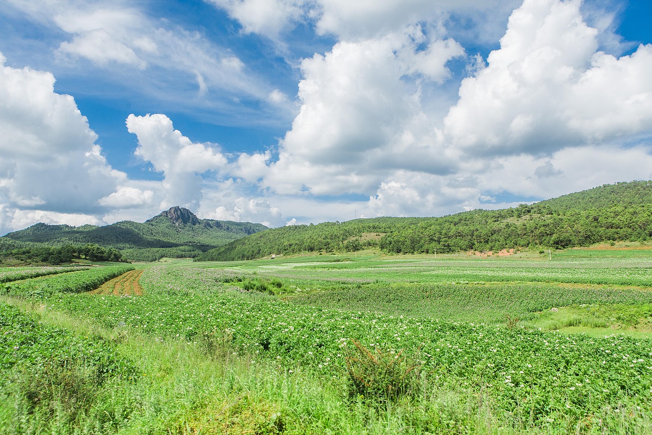 南溪村探寻记（图ZOTE1NDY1MzI=） - 短片 - 站酷设计师楦梓原创素材 - 站酷ZCOOL