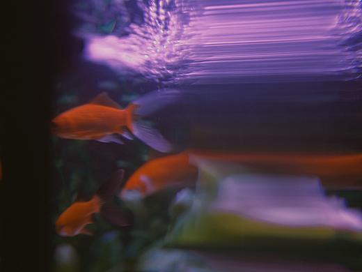 20200214（个人主页-ZNDI2NjA0MzY=） - 短片 - 站酷设计师LiangjieLi原创素材 - 站酷ZCOOL