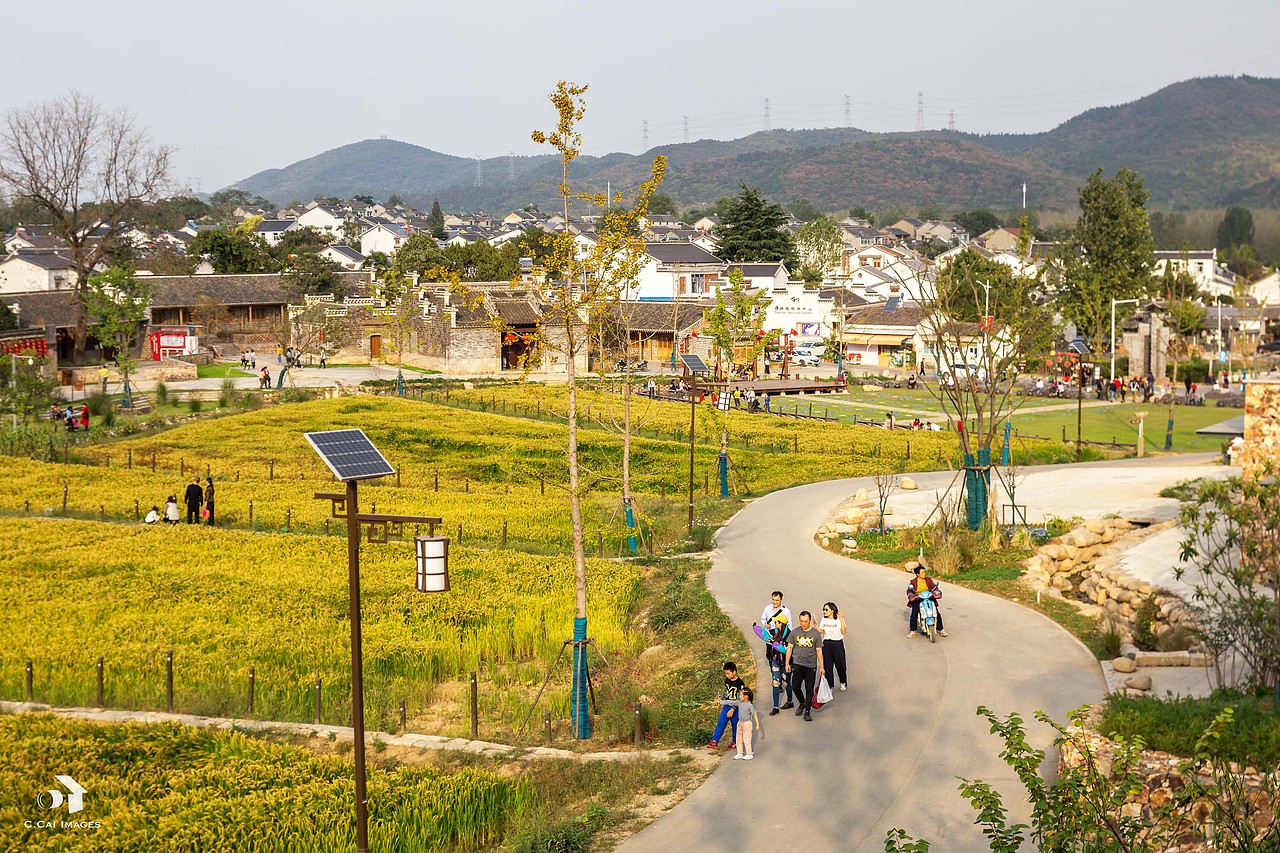 乡村示范区:南京佘村改造项目