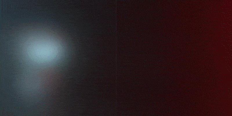 盆腔结构动态解析过程