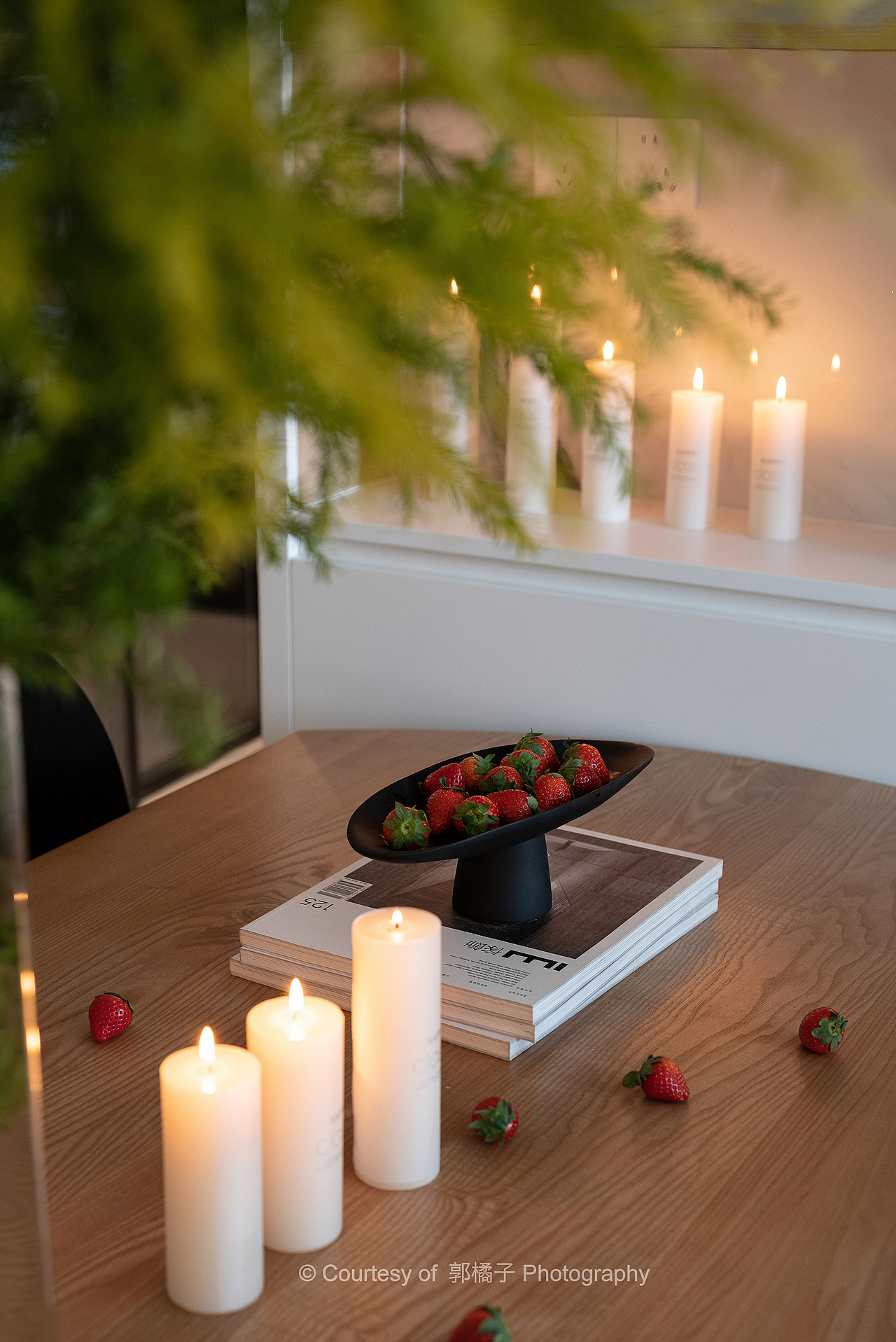 永泰.麓府--一个野生宠物博主的家