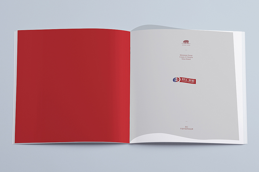 两本好厚的画册截选。（图ZMjQ3MjgzMTQ4） - 书籍/画册 - 站酷设计师王铮sensoo原创素材 - 站酷ZCOOL