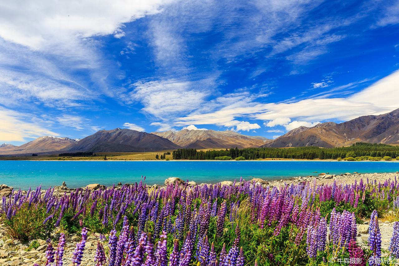 新西兰风景图片素材-编号14402496-图行天下