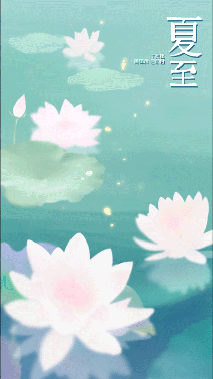 夏至荷塘