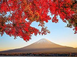 红色枫叶掩映下的绝美富士山