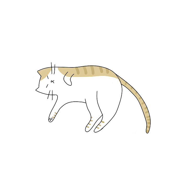 一只喜歡站肩膀上的貓（圖ZMjY0MTM3Njgw） - 創(chuàng)作習(xí)作 - 站酷設(shè)計(jì)師小君June原創(chuàng)素材 - 站酷ZCOOL