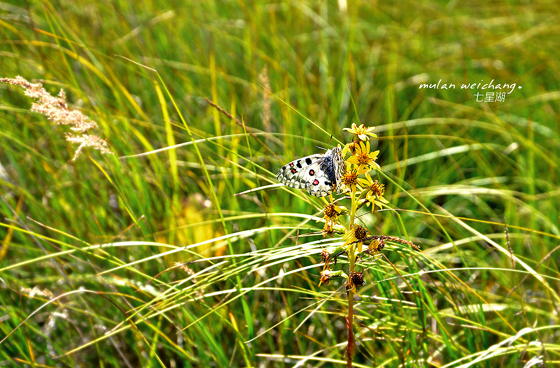 北京再北~乌兰布统