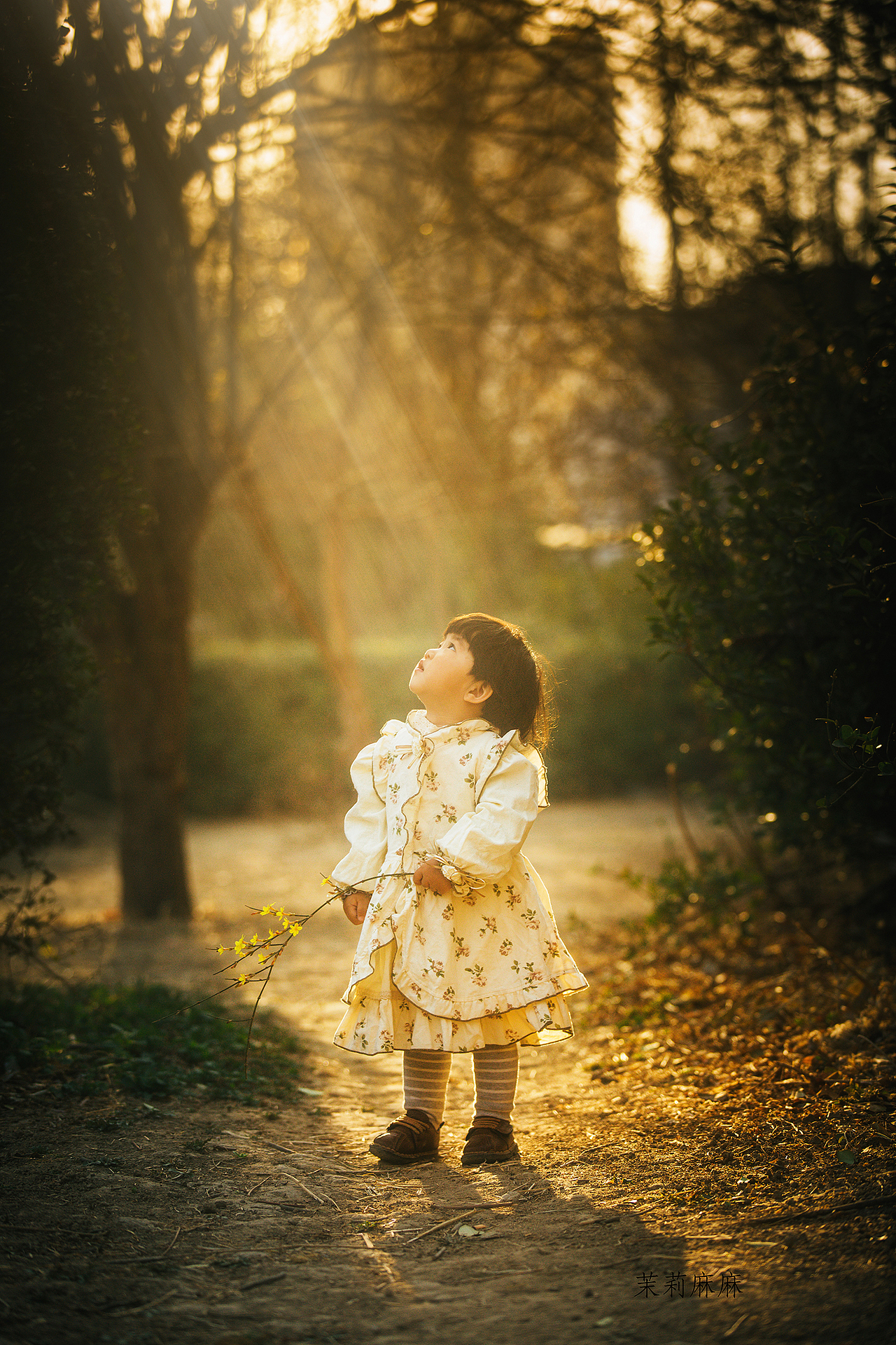 春,晴天,小女孩