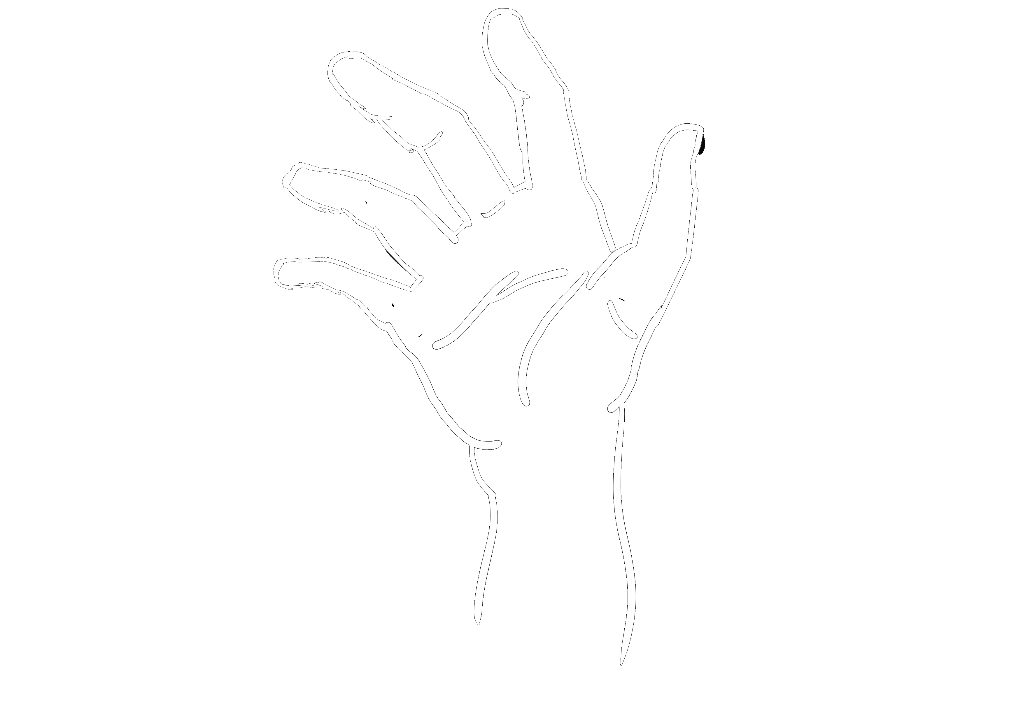 手绘花字合集（白色版）（图ZMjIyNzIwNzU2） - 包装 - 站酷设计师SagaLim原创素材 - 站酷ZCOOL