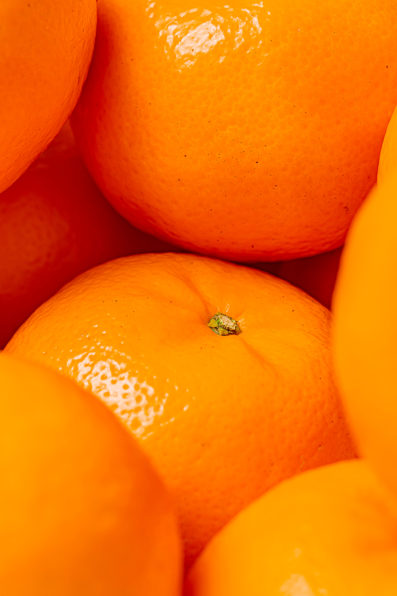 沃柑线上平台海报宣传图（图ZMjYzODYyNDA4） - 美食摄影 - 站酷设计师摄影师_彬VII原创素材 - 站酷ZCOOL