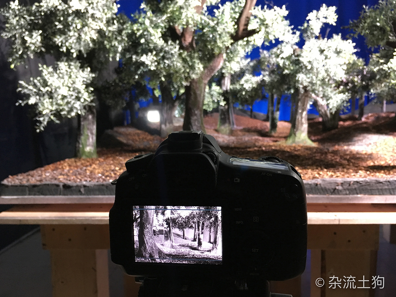 定格动画短片《风雨廊桥》树林场景（图ZMTY3MDIzOTYw） - 其他手工艺 - 站酷设计师杂流土狗原创素材 - 站酷ZCOOL