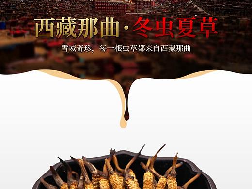 冬虫夏草详情页