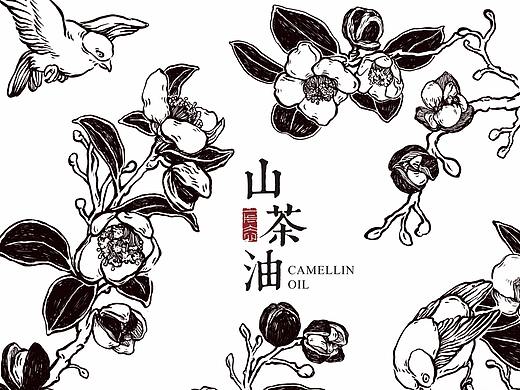 山茶油包装设计