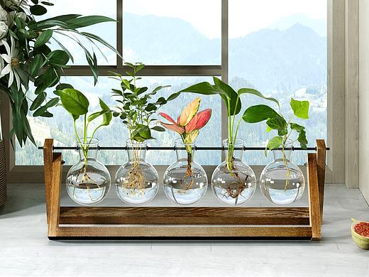 水培花架（产品渲染）