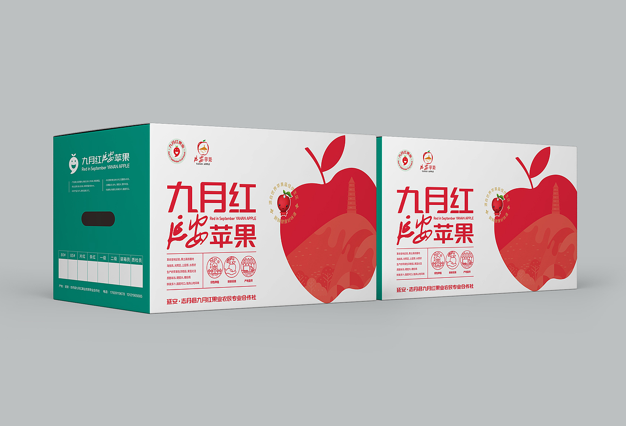 九月红延安苹果包装箱设计