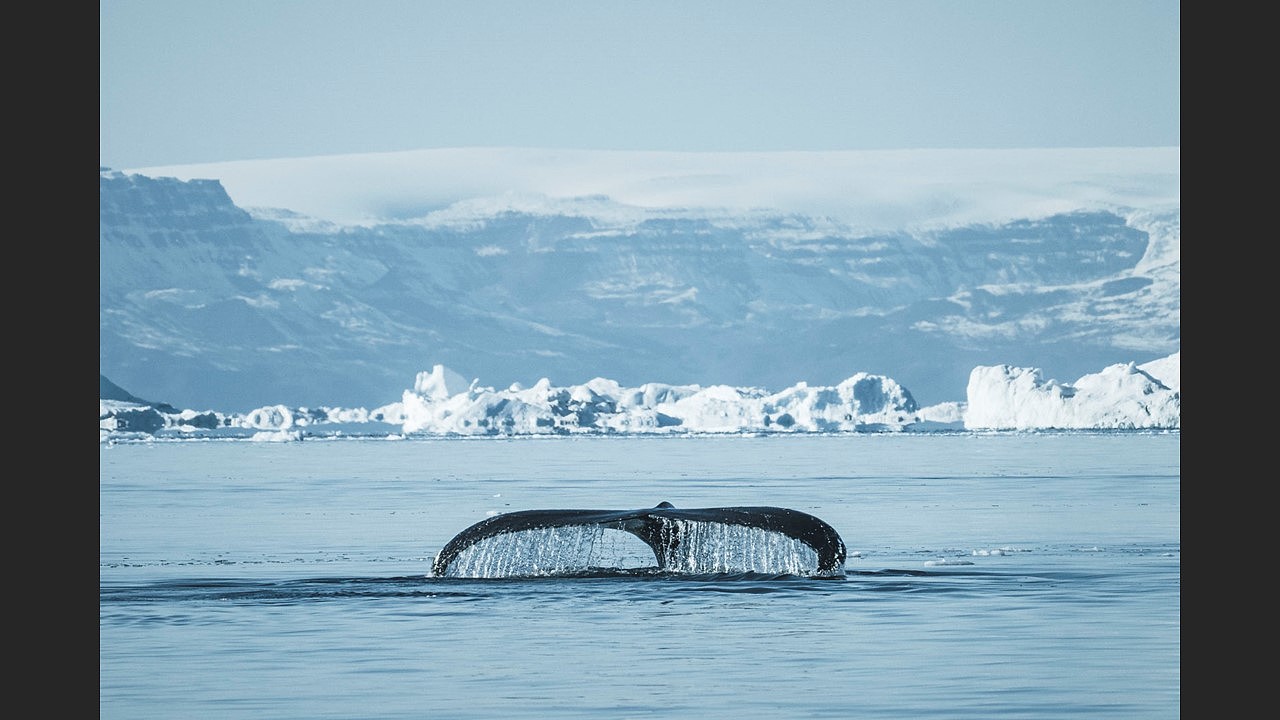 这些摄影大片,竟然都是后期裁出来的?