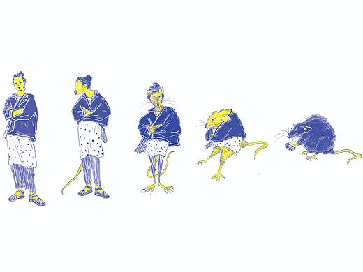 人类演化 ANTHROPOLOGY -FROM HUMAN TO MOUSE