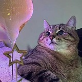 El澄空的头像