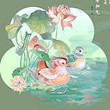 柠小凡的头像
