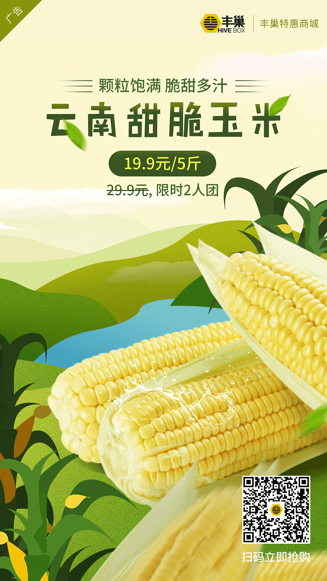 农产品玉米详情